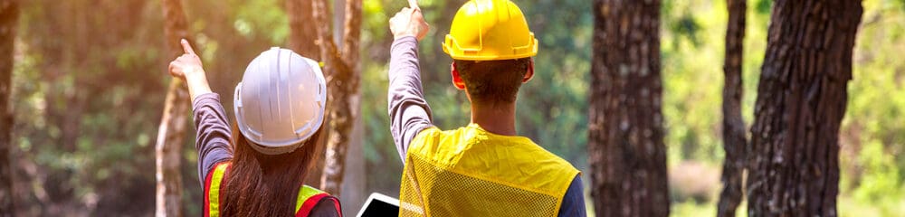 Quais são os desafios do monitoramento florestal e como superá-los?