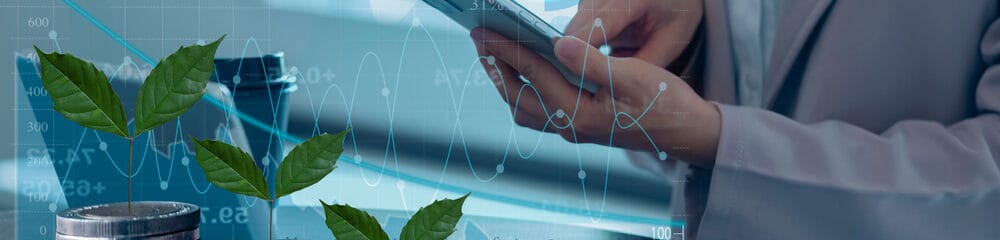 TIMOs: conheça tudo sobre os fundos de investimentos em florestas