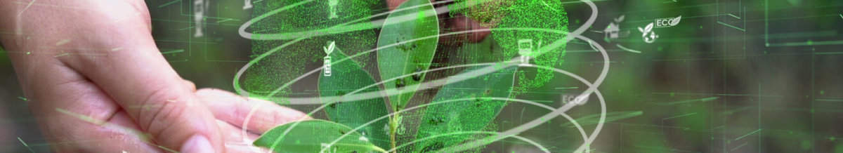 Empresas florestais: uso de tecnologias para otimização de tempo e recursos