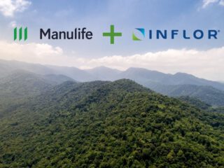 INFLOR partnerships result in great virtuous cycles for timberland investors