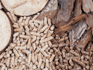 There are many forms of woody biomass that could be utilized as a source of clean energy