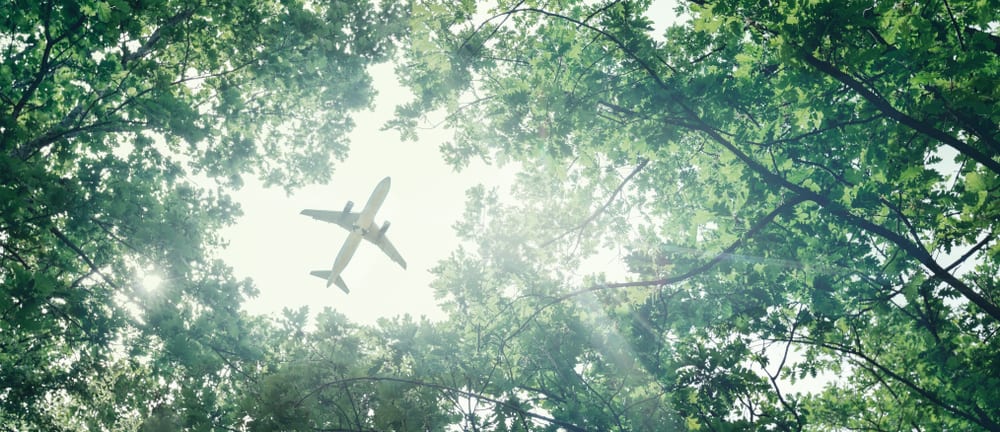 Avião voando entre a floresta, no intuito de representar a emissão de GEE e a importância do hidrogênio verde.
